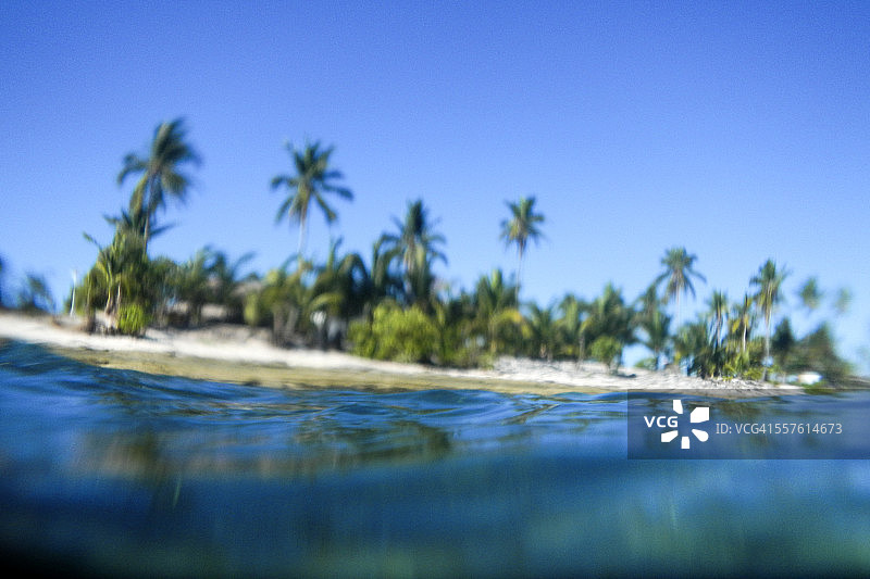 水面视角：椰树岛屿风光图片素材