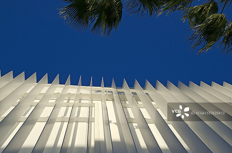 建筑与棕榈树图片素材