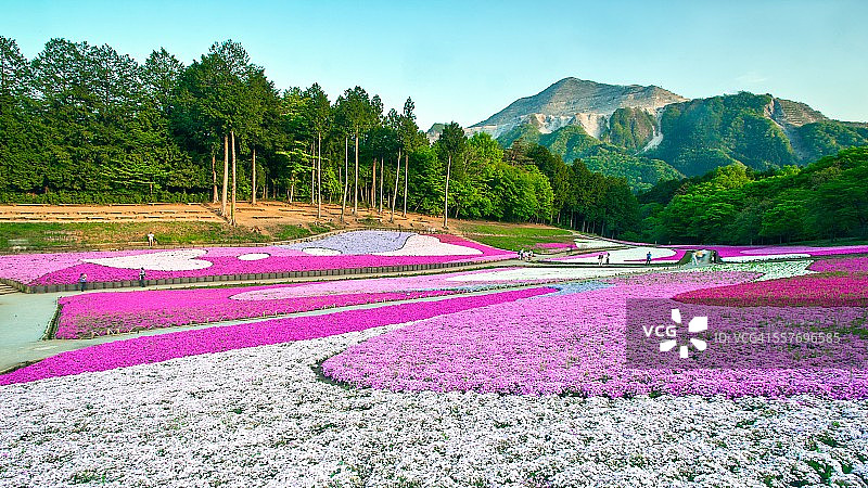 史诗般的风景图片素材