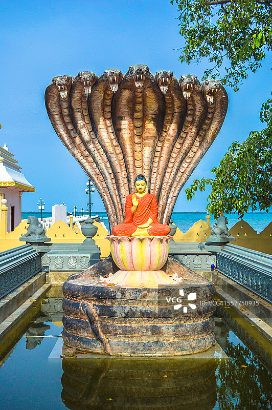 眼镜蛇头佛像图片素材