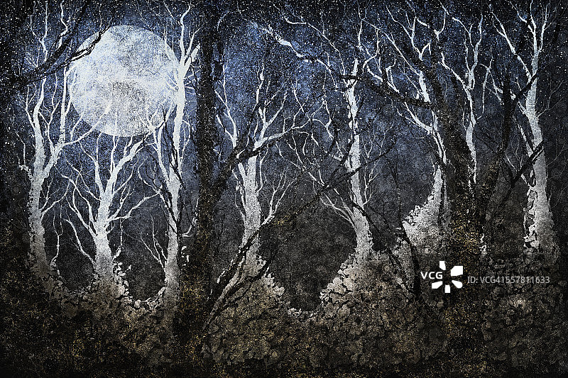 午夜月光下的神奇森林图片素材