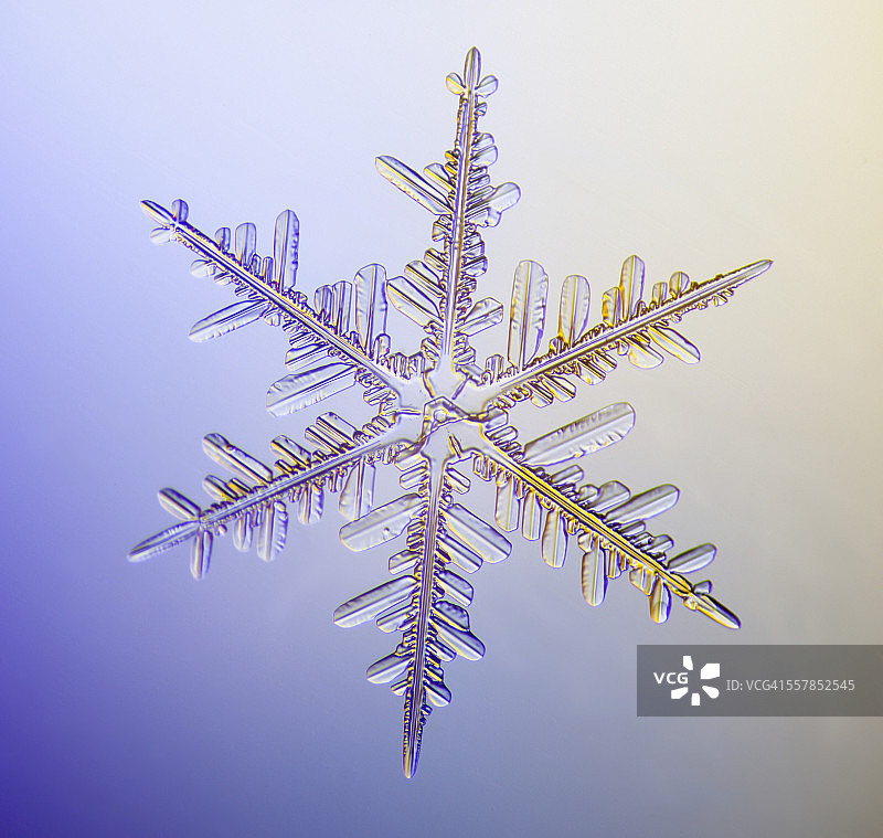 显微镜下的真实雪花：经典六角星形图片素材