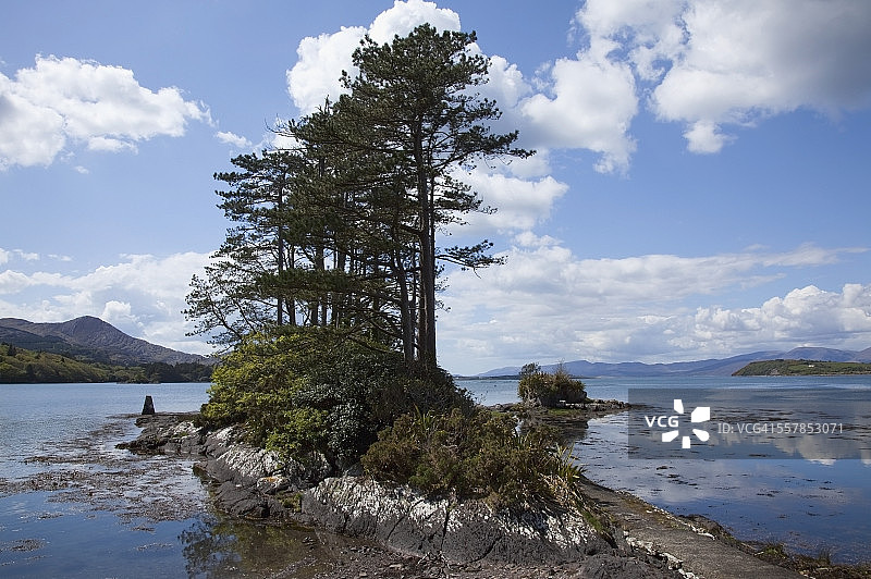 肯梅尔湾沿水边生长的树木，远眺海岸线图片素材