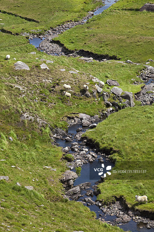 流经草地的小溪图片素材