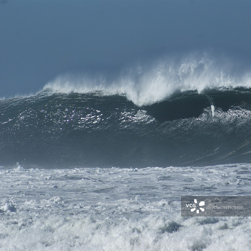 墨西哥怪物图片素材