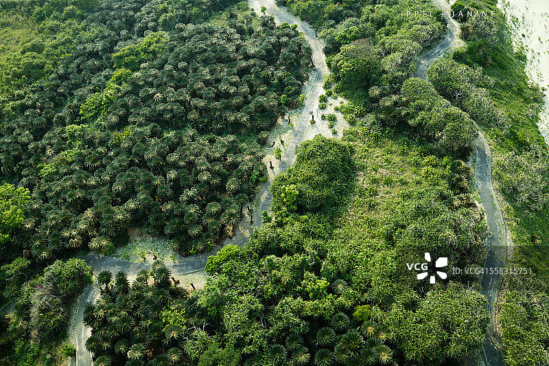 绿色植被与蜿蜒小路的航拍图片素材