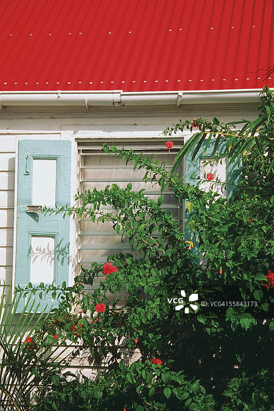 圣巴茨岛圣古斯塔维亚，红屋顶房子外的花朵图片素材