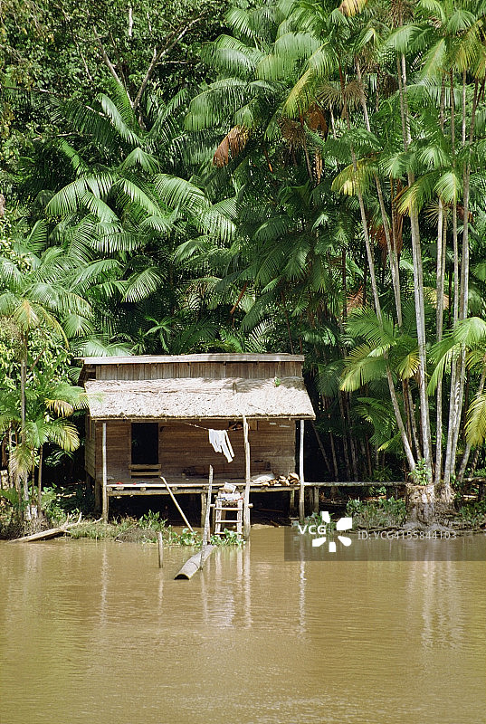 巴西亚马逊河畔布雷维斯纳罗斯的小屋图片素材