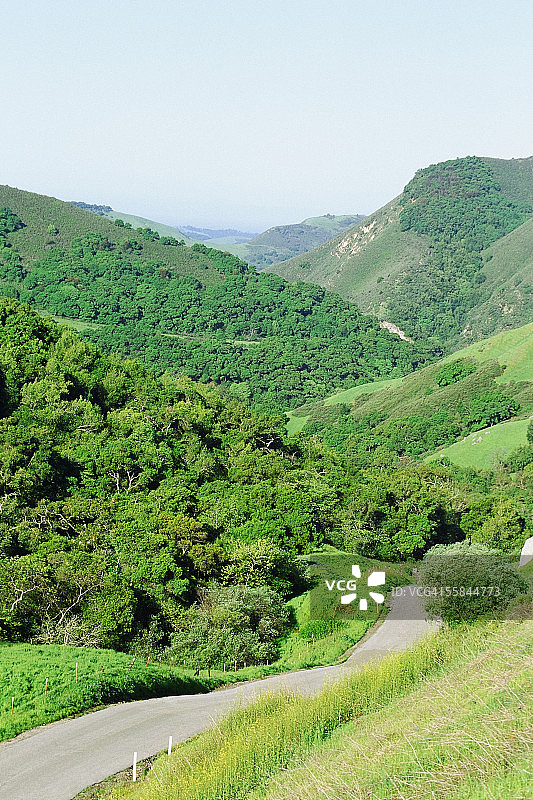 美国加利福尼亚州坎布里亚：1号公路，穿过森林的道路图片素材