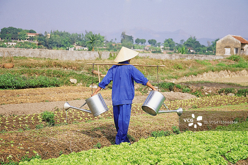 越南农民在田间耕作图片素材