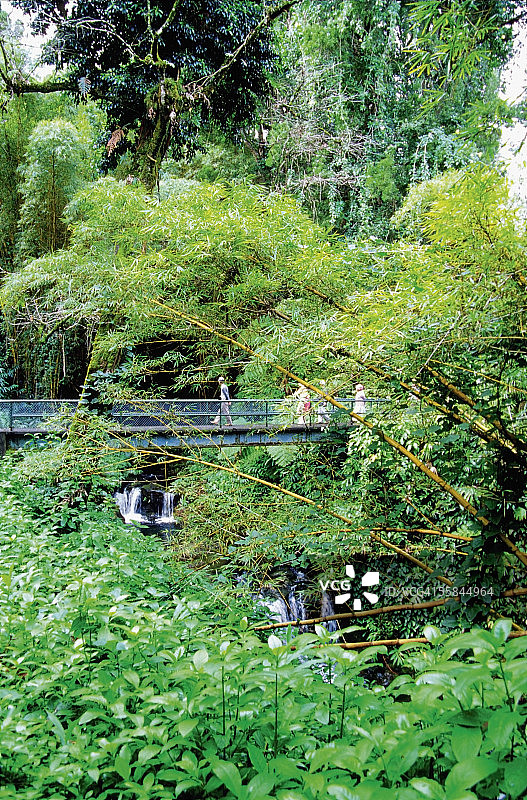 人们在美国夏威夷阿卡卡瀑布州立公园的桥上行走图片素材