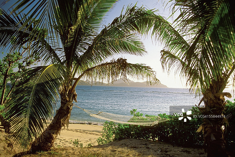 斐济托阔里奇岛，玛玛努卡群岛度假海滩的棕榈树间的吊床图片素材