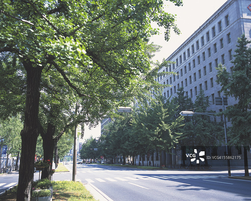 御堂筋图片素材