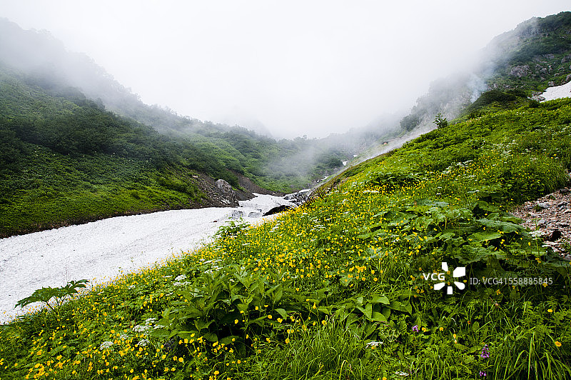 日本白马的雪谷图片素材