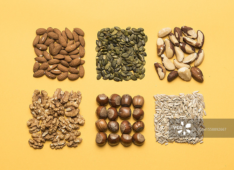 整齐排列的坚果和种子图片素材