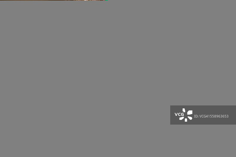 年轻女孩在户外闻花香图片素材