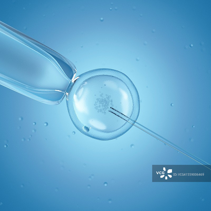 试管婴儿，图示图片素材