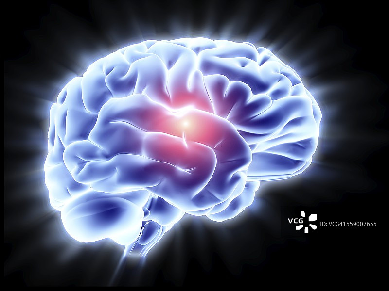 人类大脑、艺术品图片素材