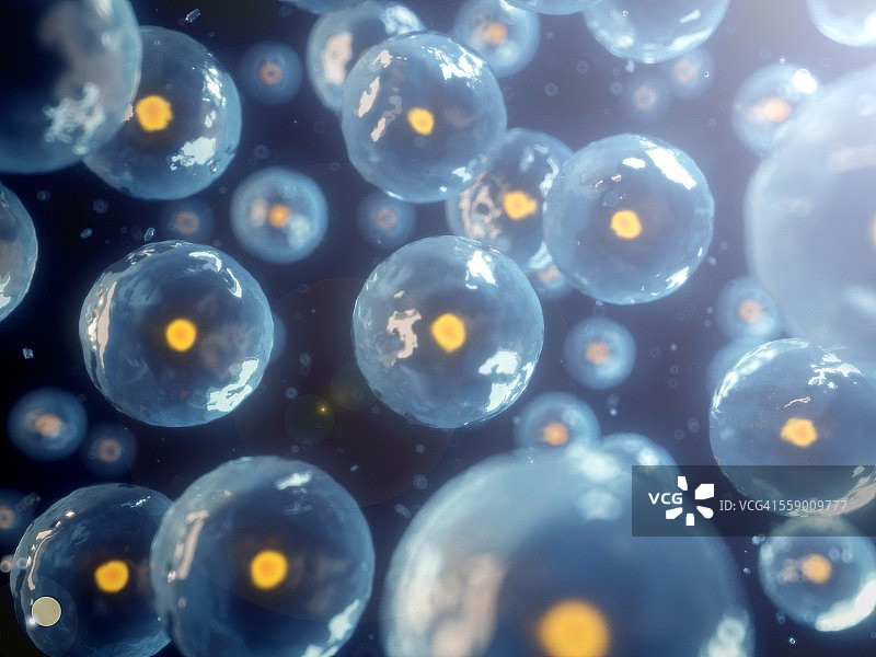 人体细胞，图示图片素材