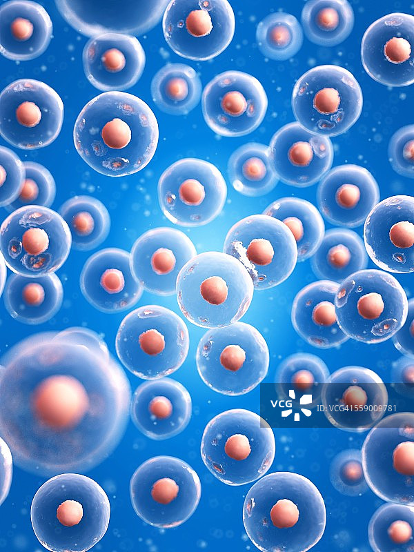 人体细胞，图示图片素材