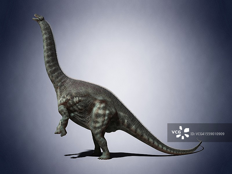 迷惑龙插画图片素材