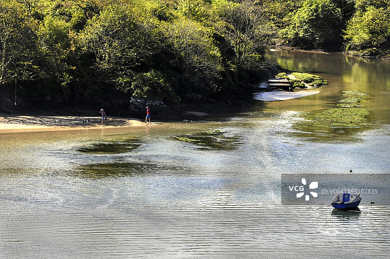 家庭和狗散步图片素材