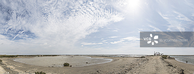 卡马格的池塘图片素材