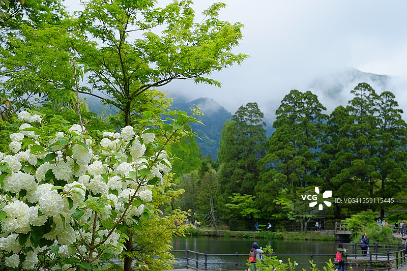 日本大分县由布院金鳞湖图片素材