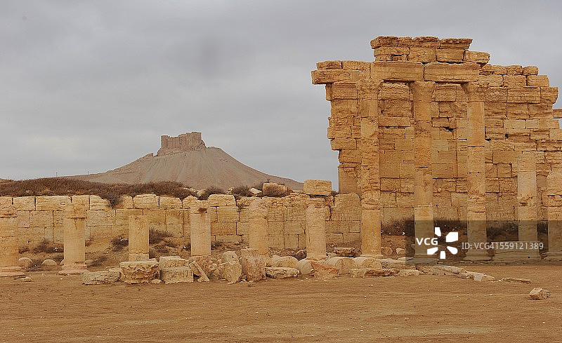 巴尔米拉图片素材