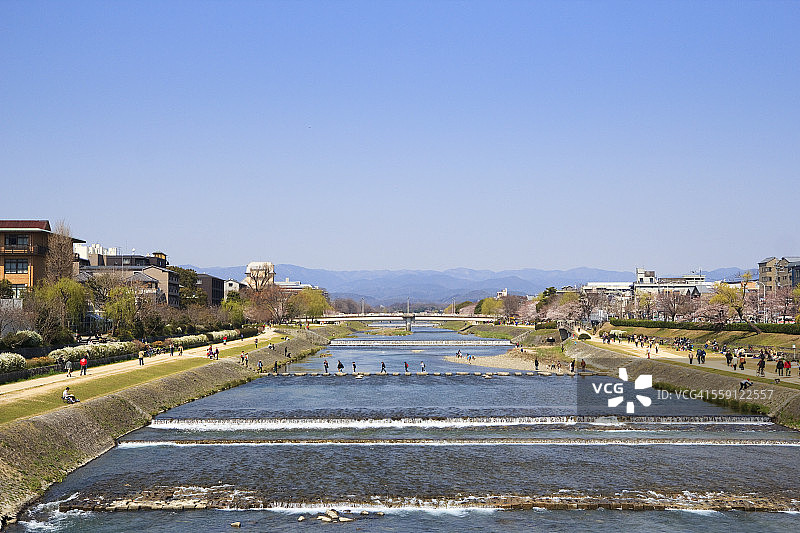 京都市鸭川的春季景色图片素材