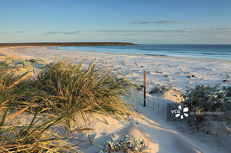 福克兰群岛的志愿者角海滩图片素材