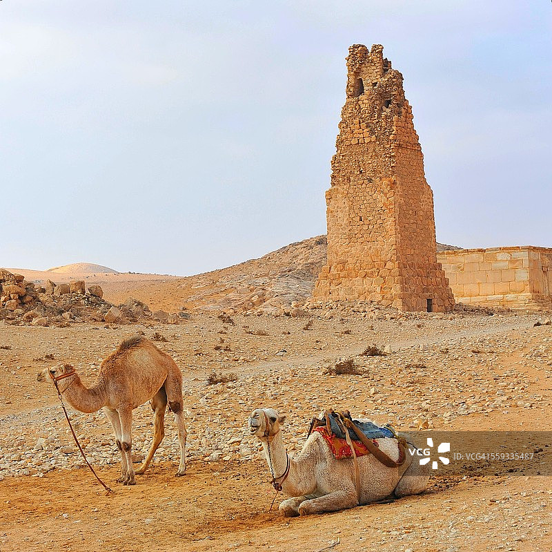 叙利亚巴尔米拉古城图片素材