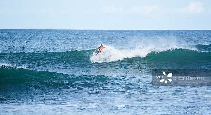 冲浪企鹅图片素材
