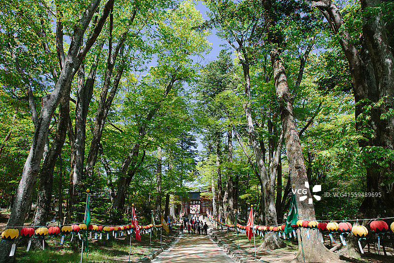 海印寺佛教寺庙图片素材