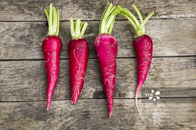 一排四个红萝卜图片素材