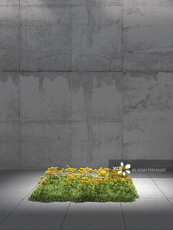 混凝土包围的蒲公英草地广场2.5D渲染图片素材