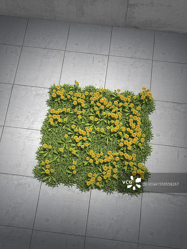 混凝土包围的蒲公英草地广场2.5D渲染图片素材