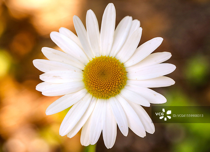 选择我图片素材