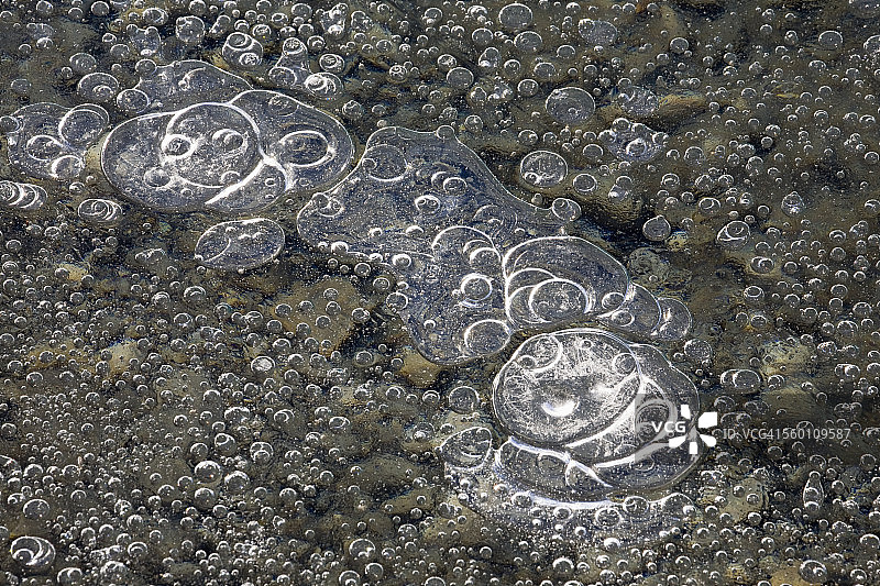 卡纳纳斯基斯省立公园冰湖中的气泡特写图片素材