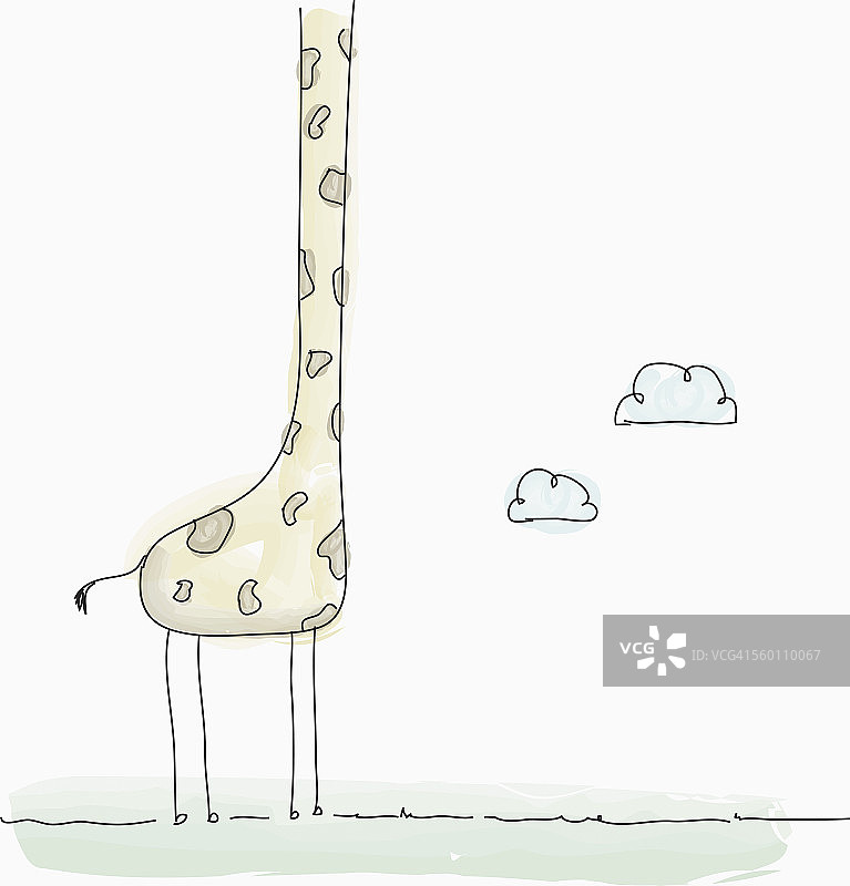 长颈鹿身体插画图片素材