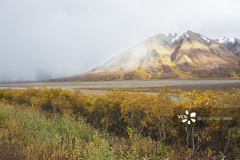 德纳里国家公园托克拉特河畔的秋色山景雨景图片素材