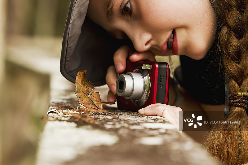 年轻女孩拍摄翅膀伪装成树叶的红斑蛱蝶（Marpesia petreus）蝴蝶的照片特写图片素材