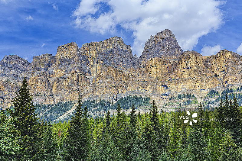 班夫国家公园的城堡山和针叶树图片素材