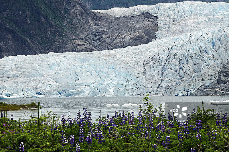 通加斯国家森林公园门登霍尔山谷的门登霍尔冰川图片素材