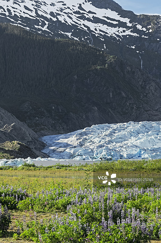 通加斯国家森林公园门登霍尔山谷的门登霍尔冰川图片素材