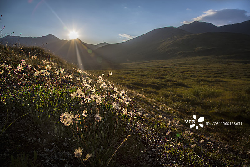 美国阿拉斯加北极门国家公园的日落图片素材