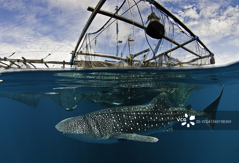 蒲甘之下图片素材