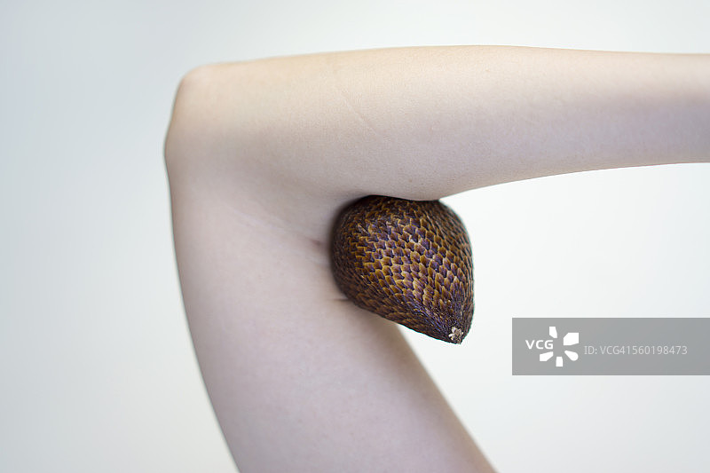 女人拿着蛇皮果图片素材