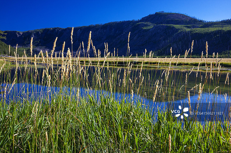 黄石国家公园，怀俄明州图片素材