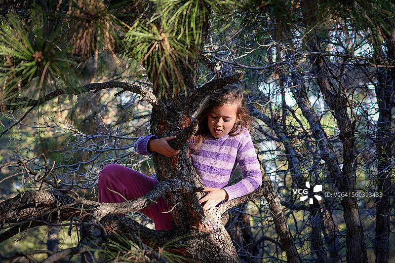 女孩爬树图片素材